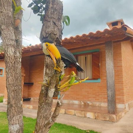 Villa Nova Chales Lima Duarte Ngoại thất bức ảnh